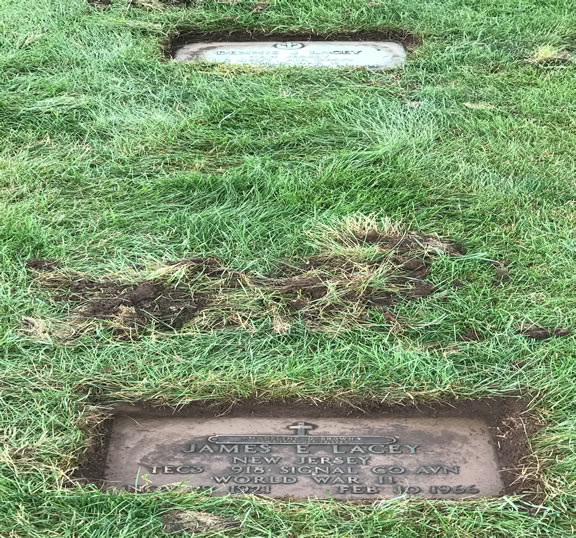 James and Dennis grave marker